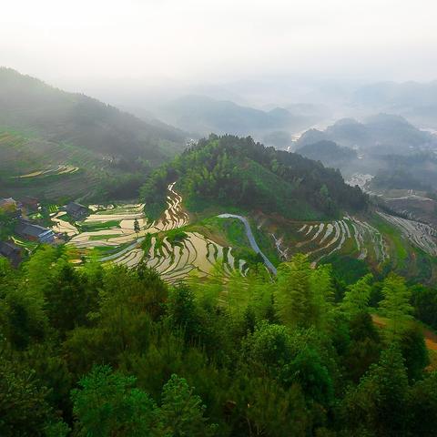 浙江台州到湖南娄底新化的火车票？