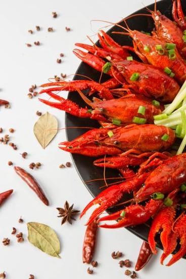 美食配什么啤酒好喝（哪些零食和啤酒特别搭）