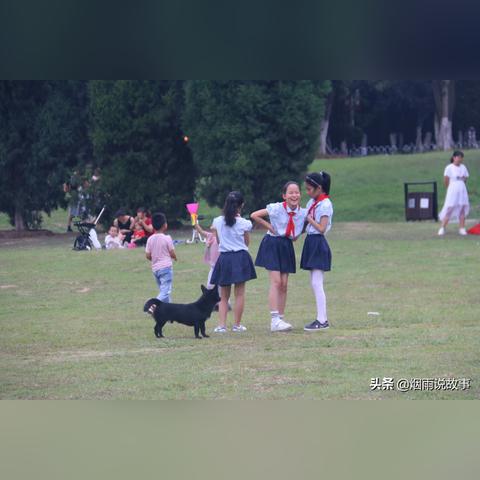 合肥大蜀山半边街招商相关长尾关键词有哪些