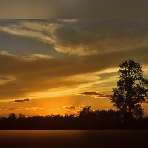 保定市的大龙门是哪里的