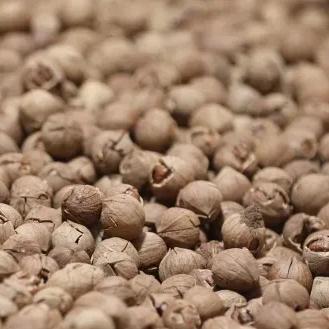 临安碧根果批发货源地的长尾关键词有什么