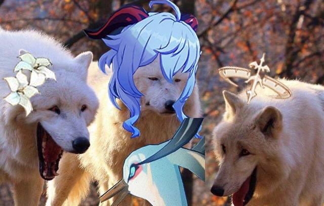 原神钓鱼怎么拉起来（原神九条阵屋沉船残骸如何钓鱼）