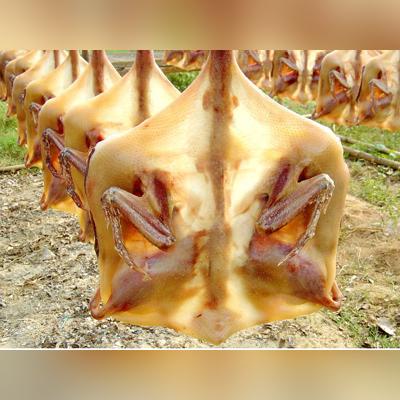 广东东莞市虎门镇白沙的长尾关键词有哪些