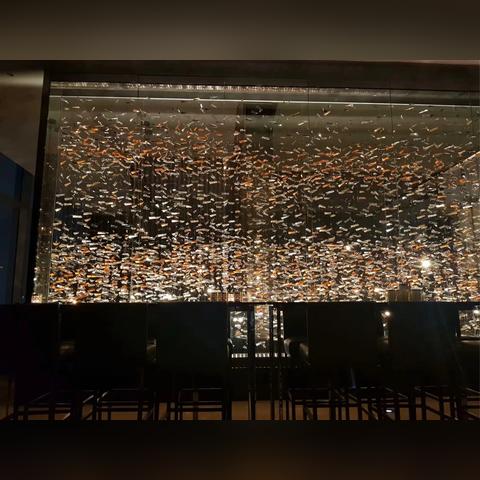 长沙国金中心有什么酒店？