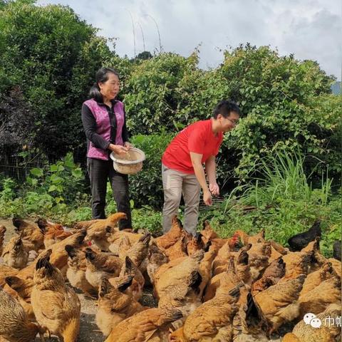 【桂林今日鸡蛋价格】2025年4月19日桂林鸡蛋价格是多少