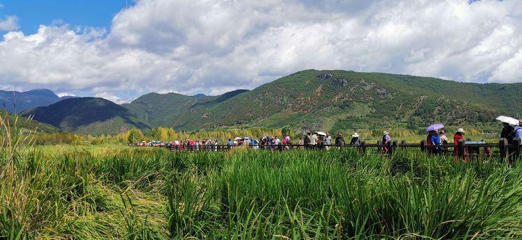 原神蛇首柱子怎么点亮（是传说还是确有其事）