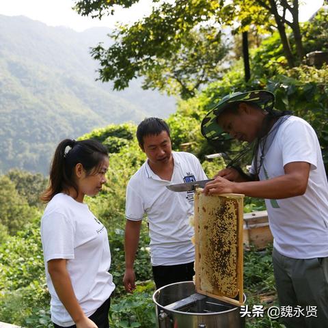 河南南阳附近租房的相关长尾关键词有哪些