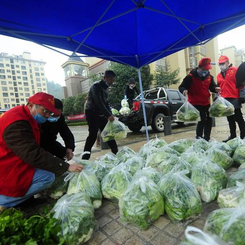 福建蔬菜礼盒赠送的相关长尾关键词有哪些