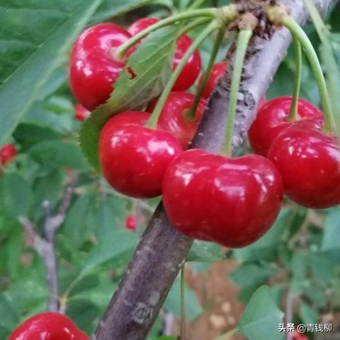 宁波12月的气温的长尾关键词有哪些