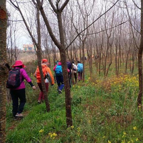 昆明市最近几天的气温多少度
