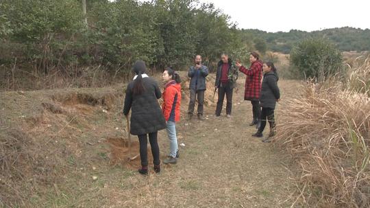 17年创业，下岗女工变“茶油姐”，坐拥8000多亩油茶基地