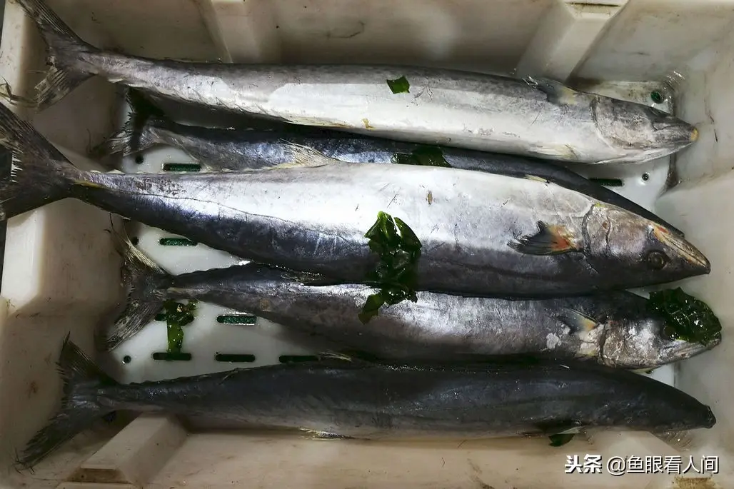 白糖加盐怎么调出海鲜味 花甲怎么炒出海鲜味儿