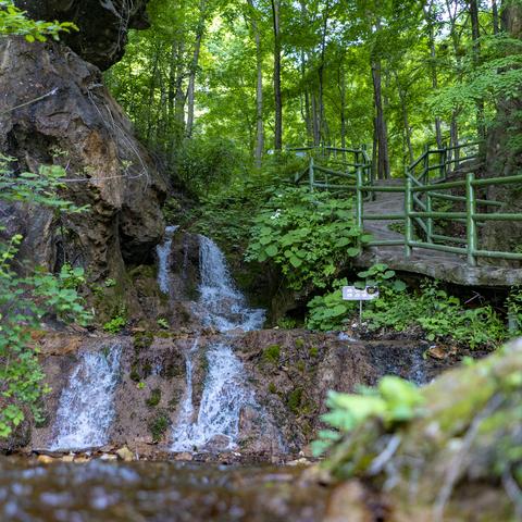河南话爱的相关长尾关键词有哪些