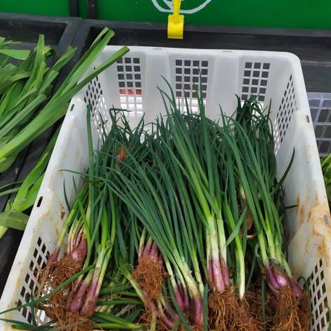 西安市超市怎么进不去