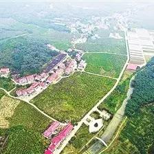 福建省有那些市区县？