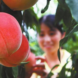 蓝色桃子电影免费观看的长尾关键词有哪些