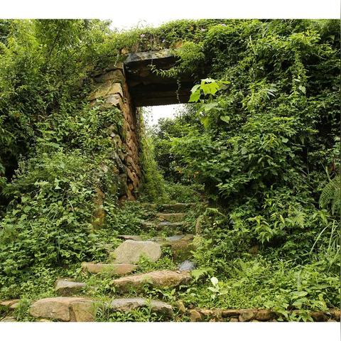 咏春离泉州市多远的长尾关键词有什么