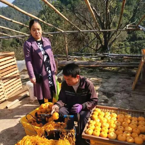 桂林市体育中心搭什么公交车到六合路？