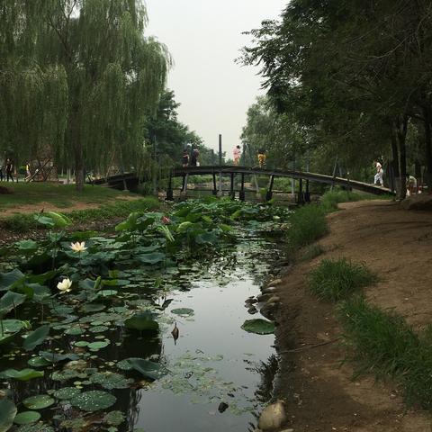 长春到沈阳的客车相关长尾关键词有哪些