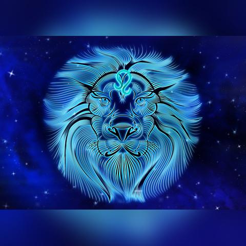 9月24日生肖猪运势查询(9月24日生肖猪运势查询表)