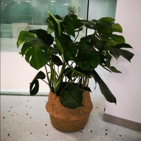 长沙金融租赁相关长尾关键词有哪些