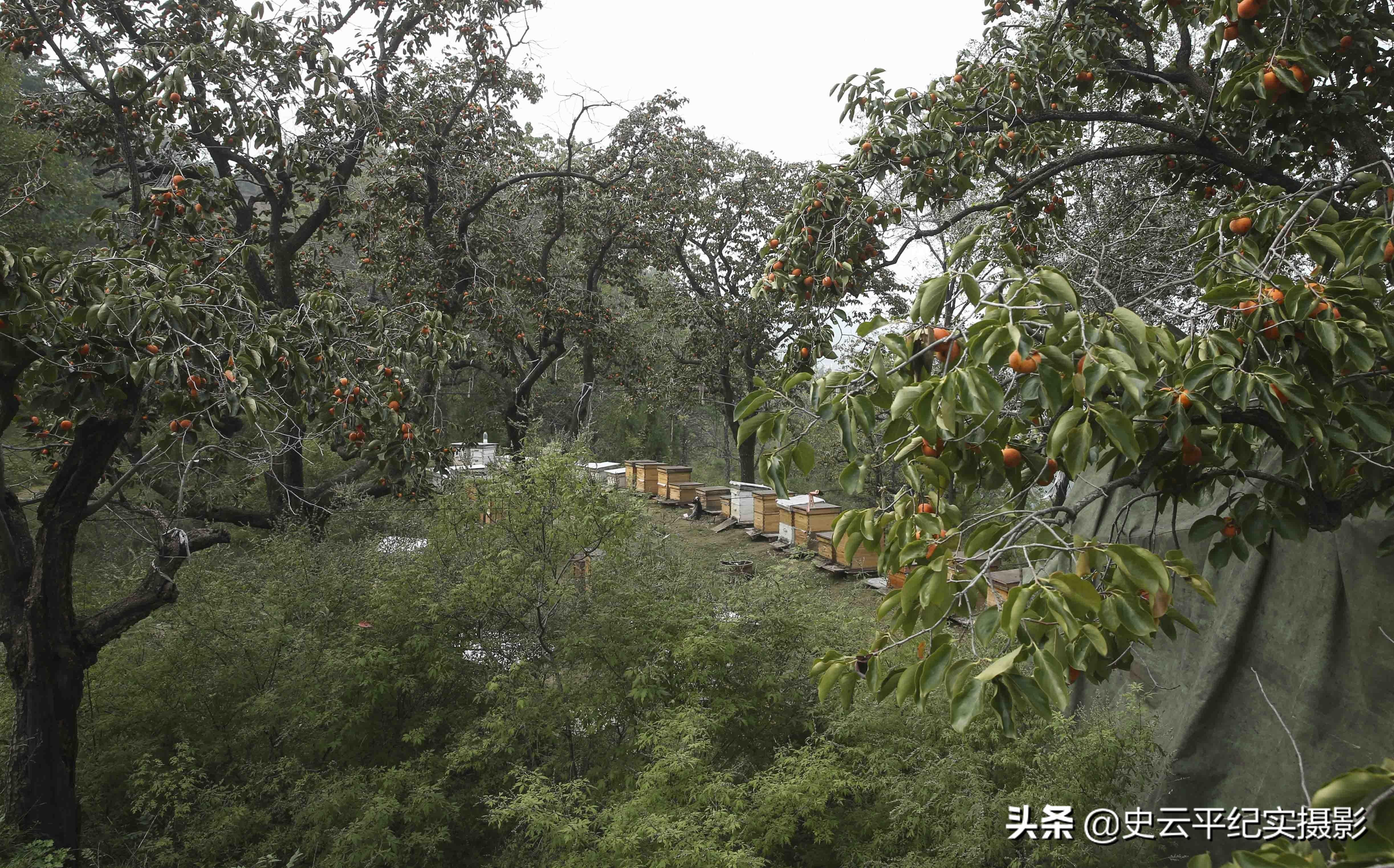 韩师傅板材质量怎么样