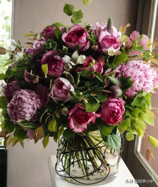 延长鲜花保鲜期剪花枝时怎么做效果会更好 延长鲜花保鲜期剪花枝时怎么做效果会更好