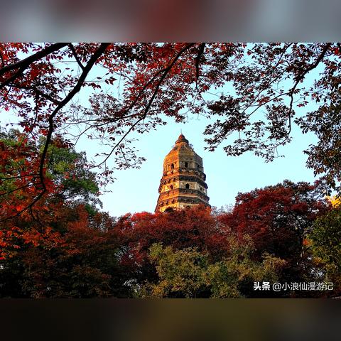 [苏州秋游活动]相关长尾关键词有哪些