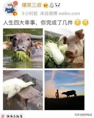 老牛吃嫩草的表情包搞笑gif