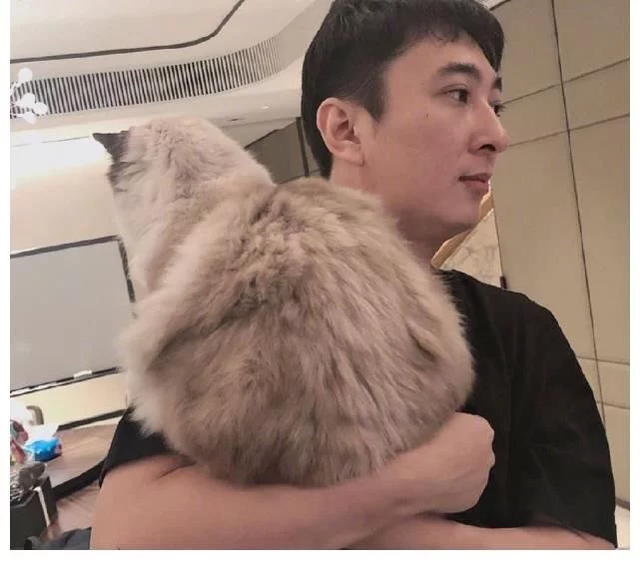 你最反感室友的什么行为
