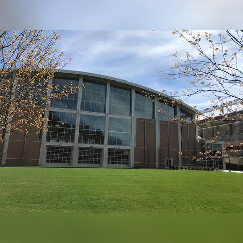 football soccer（足球的魅力，从足球到足球运动）