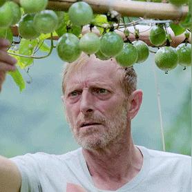 南宁卖车最多的地方？