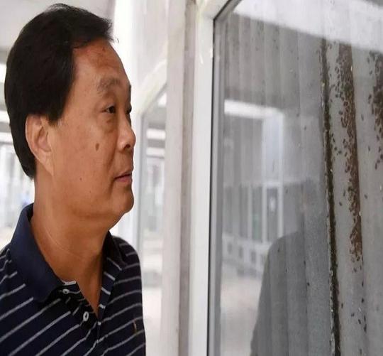 李延荣：辞掉公务员，靠厨余垃圾养8亿只蟑螂，生意做到上百亿