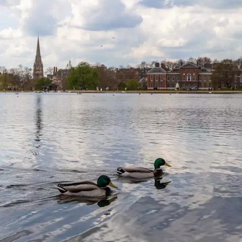 佛山市的富人小区在哪里