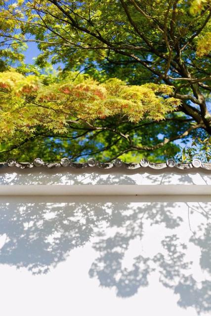 关于立秋的诗句有哪些诗