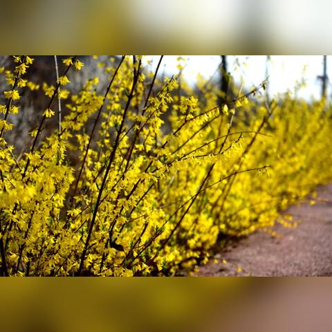 潍坊市最大高楼在哪里建