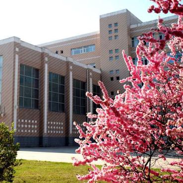 长春市实验中学招生多少