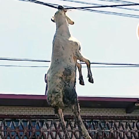 保定市颈椎治疗医院的长尾关键词有哪些