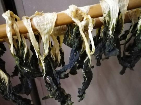 立秋以后，买上20斤小白菜晒一晒，冬天炖肉吃特别香，方法教给您