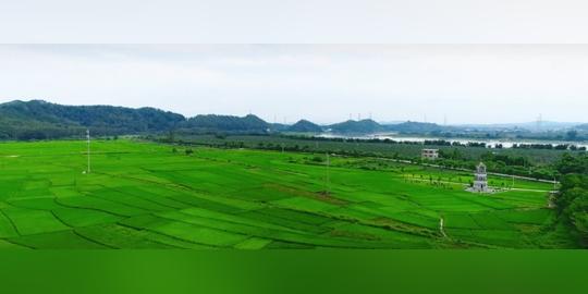 惠州市惠城区横沥镇(矮陂片)高标准农田建设项目