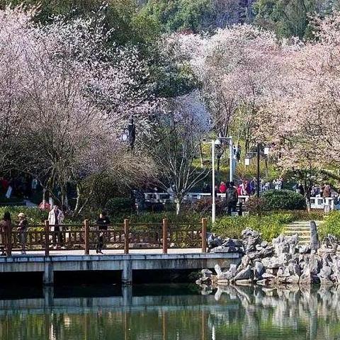 长沙看风景的地方？