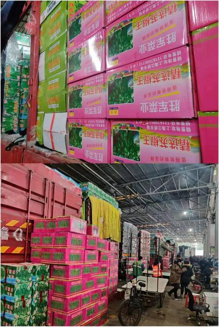 青菜为什么比肉贵了