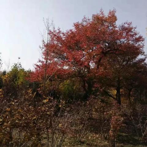 2025.12.15兰州今天空气质量指数怎么样