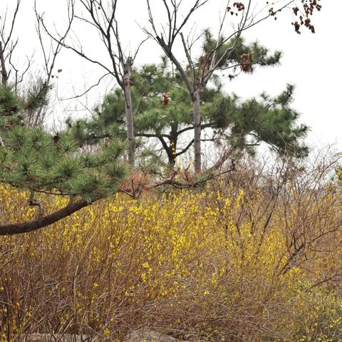 济南市南北主路是哪个区