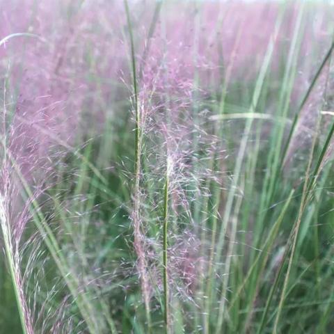 从苏州火车站到常熟市海虞镇的长尾关键词有哪些