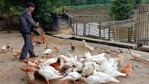 淘宝无货源判刑多久 京东拉新判刑多久