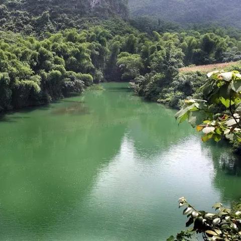 南宁市到永州镇怎么坐车