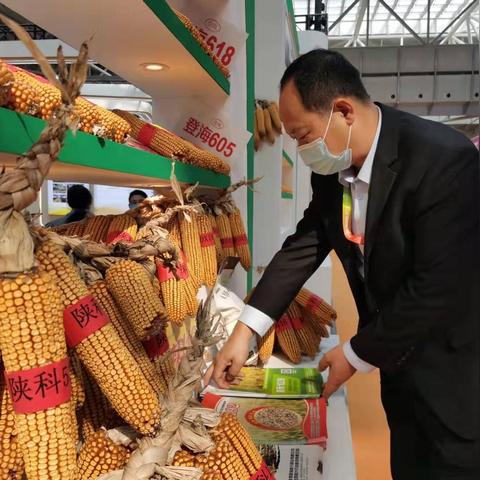 河南哪个节气春播最多