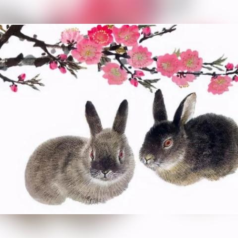 生肖属兔人明天运势查询表(属兔人明天的运气和财运)