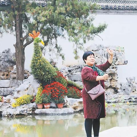 保定市满城区花卉的长尾关键词有哪些